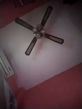 Snapshot of Danii2005 chatting on 6, 11, 2025 Danii2005 online show from 6, 11, 2025