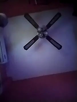 Snapshot of Danii2005 chatting on 12, 11, 2025 Danii2005 online show from 12, 11, 2025