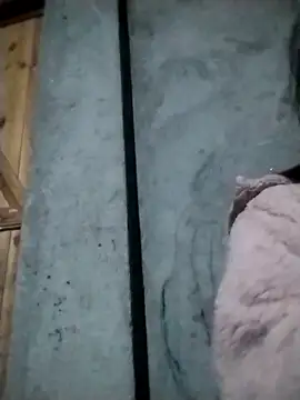 rickkis2k online show from 4, 3, 2026