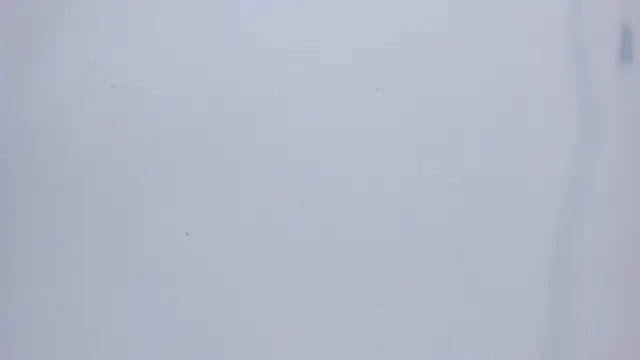 mirandaduboiss online show from 13, 4, 2026