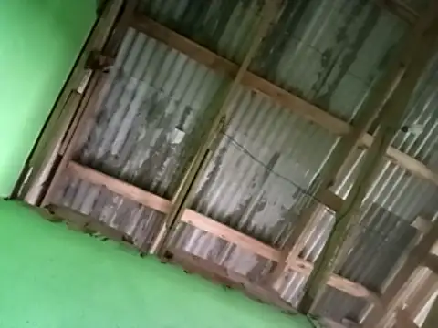 juniordotado87 online show from 10, 1, 2026