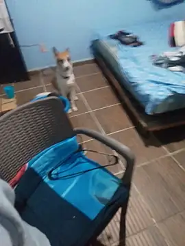 Snapshot of 666Daemon666 chatting on 17, 1, 2026 666Daemon666 online show from 17, 1, 2026