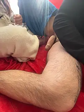 Snapshot of PassionCoupleLove chatting on 15, 2, 2026 PassionCoupleLove online show from 15, 2, 2026