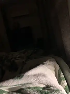 Snapshot of bfelipedasilva chatting on 6, 11, 2025 bfelipedasilva online show from 6, 11, 2025