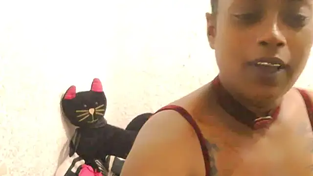 Snapshot of DOVE85 chatting on 15, 12, 2025 DOVE85 online show from 15, 12, 2025