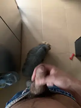 findomhot online show from 4, 2, 2026