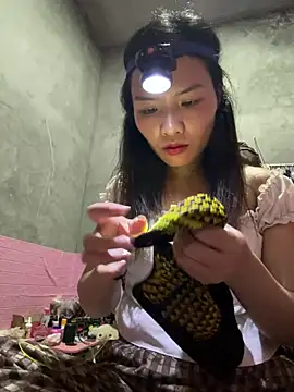 Yunzang online show from 28, 2, 2026