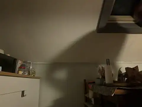 davi73d online show from 14, 12, 2025