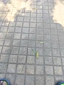 WettedGlimpse online show from 3, 12, 2025