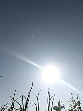 devil boy 0909 online show from 5, 3, 2026