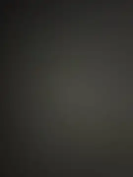 WildNour online show from 15, 11, 2025