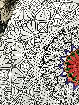 Snapshot of bigtelugubhama chatting on 15, 11, 2025 bigtelugubhama online show from 15, 11, 2025