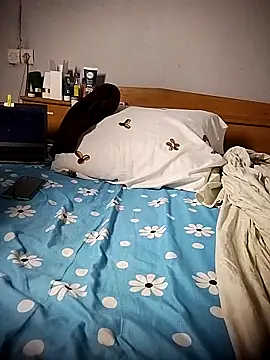 BD 228 online show from 10, 3, 2026