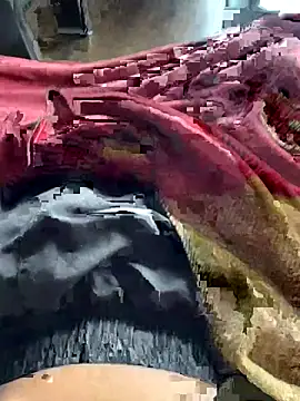 Snapshot of ankitmishra0527 chatting on 1, 11, 2025 ankitmishra0527 online show from 1, 11, 2025