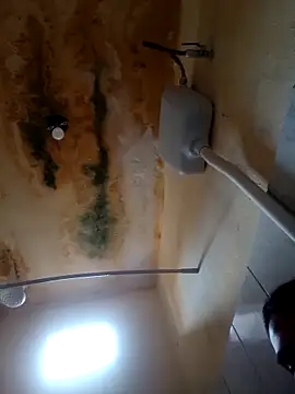 sabrinaneves online show from 29, 3, 2026