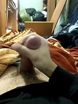 Snapshot of KaTorino chatting on 3, 2, 2026 KaTorino online show from 3, 2, 2026