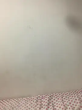 Snapshot of vanessa-242424 chatting on 5, 11, 2025 vanessa-242424 online show from 5, 11, 2025