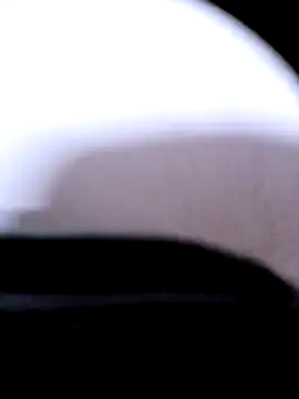 pino870 online show from 12, 3, 2026