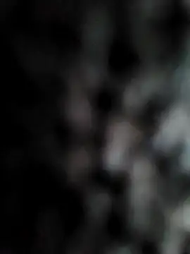 cum daily1 online show from 21, 4, 2026