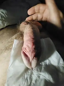 cum daily1 online show from 26, 7, 2026