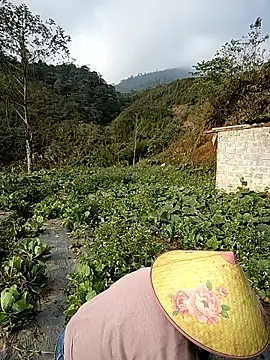 Snapshot of min_nyny chatting on 2, 12, 2025 min nyny online show from 2, 12, 2025