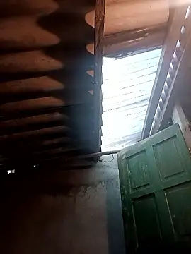 Alice-567 online show from 12, 1, 2026