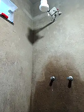 Pirocao 777 online show from 7, 4, 2026