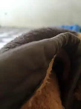 Snapshot of Realverse chatting on 5, 11, 2025 Realverse online show from 5, 11, 2025