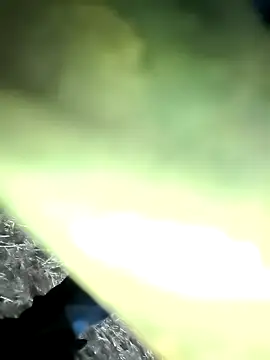 Snapshot of Realverse chatting on 21, 11, 2025 Realverse online show from 21, 11, 2025