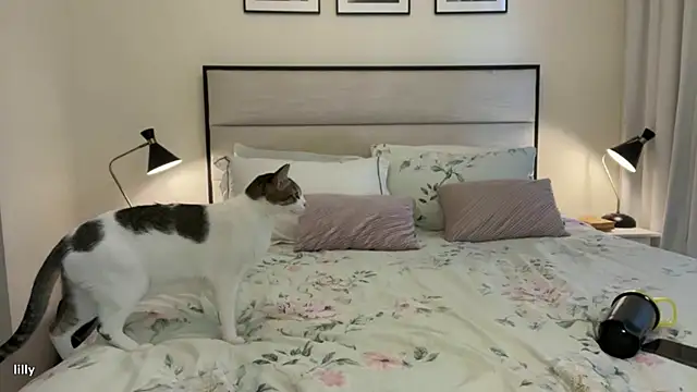 Snapshot of Itslillybloom chatting on 14, 11, 2025 Itslillybloom online show from 14, 11, 2025