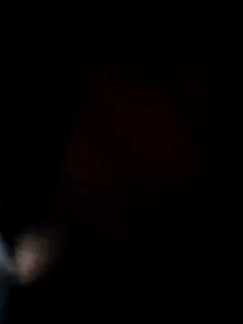 Snapshot of ANIMAA09 chatting on 29, 11, 2025 ANIMAA09 online show from 29, 11, 2025