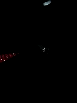 Snapshot of LenaLy2k chatting on 16, 11, 2025 LenaLy2k online show from 16, 11, 2025