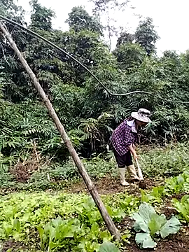 Snapshot of be-yeu chatting on 5, 11, 2025 be-yeu online show from 5, 11, 2025