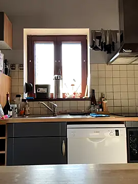 slt29 online show from 5, 11, 2025