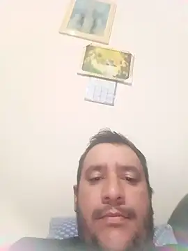 Willalmei online show from 14, 5, 2026
