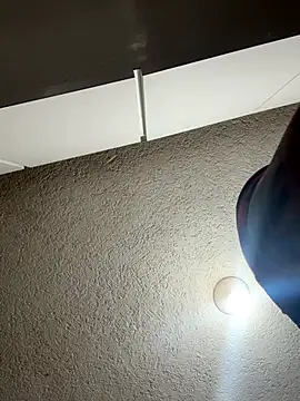 Snapshot of RaySullivan chatting on 10, 11, 2025 RaySullivan online show from 10, 11, 2025