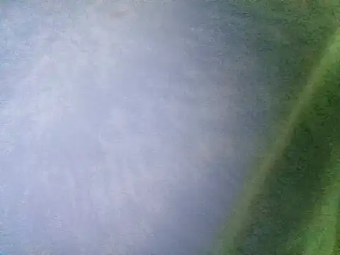 Snapshot of Ramzes1992Analog chatting on 5, 11, 2025 Ramzes1992Analog online show from 5, 11, 2025