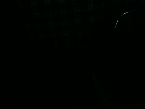 Snapshot of ellsaBunny chatting on 6, 11, 2025 ellsaBunny online show from 6, 11, 2025