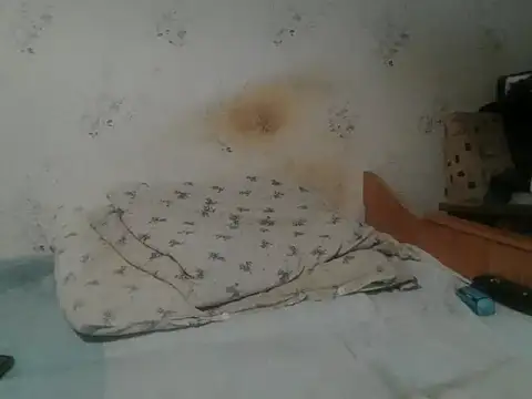 Snapshot of Kreol69 chatting on 19, 11, 2025 Kreol69 online show from 19, 11, 2025