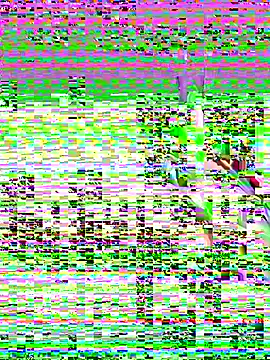 Snapshot of leenaboy@xh chatting on 27, 11, 2025 leenaboyxh online show from 27, 11, 2025