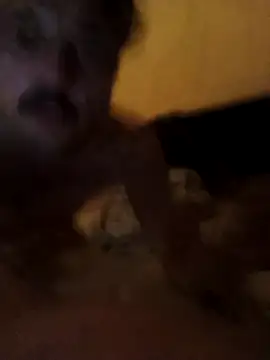 putosemlimiti online show from 8, 11, 2025