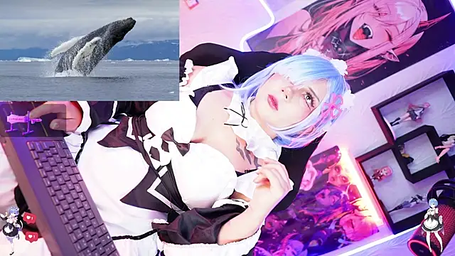 Snapshot of Noha-- chatting on 17, 11, 2025 Noha-- online show from 17, 11, 2025