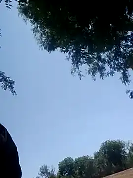 Seema ji12 online show from 10, 4, 2026