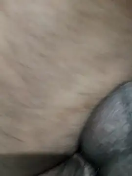 Snapshot of LEOMEGHA2026 chatting on 19, 11, 2025 LEOMEGHA2026 online show from 19, 11, 2025