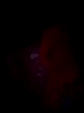 jacka 305 online show from 22, 11, 2025