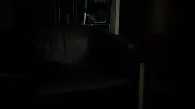 Lnghorn1614 online show from 9, 11, 2025