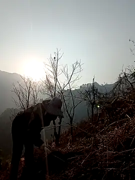 blonde blg online show from 3, 4, 2026