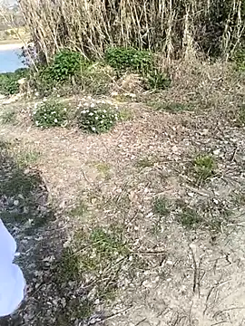 marchigiana online show from 26, 2, 2026