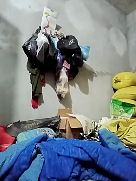 vangkt-cute online show from 27, 11, 2025