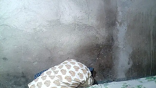 xwindyxxx online show from 19, 2, 2026